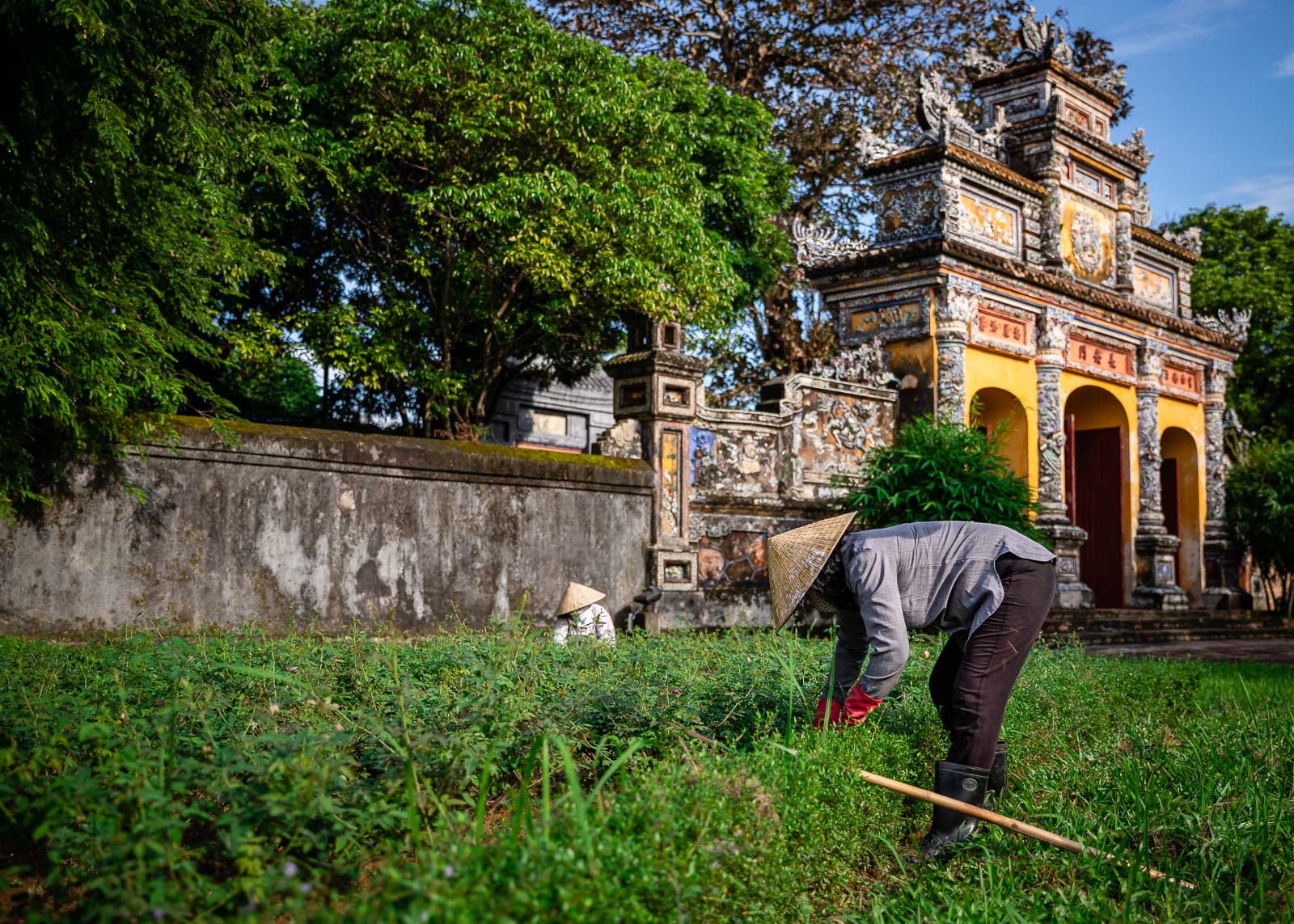 vietnamese woman with traditional hat gardening and tending to green gardens with vietnamese architecture arch in background