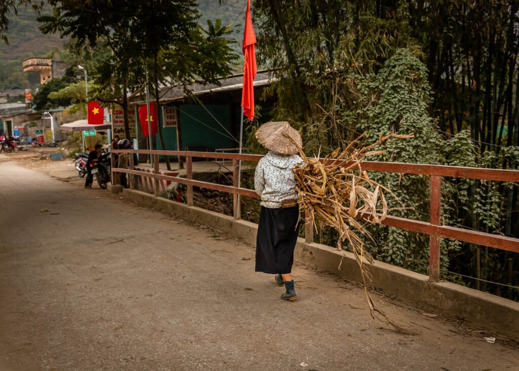 vietnamese woman with traditional hat carrying a bundle of wood on a bridge